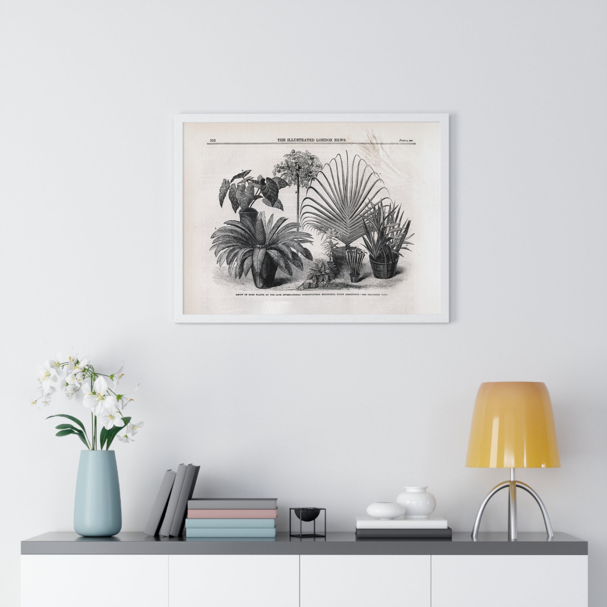 Vintage Botanical Print Framed Poster — Antique Plant Illustration