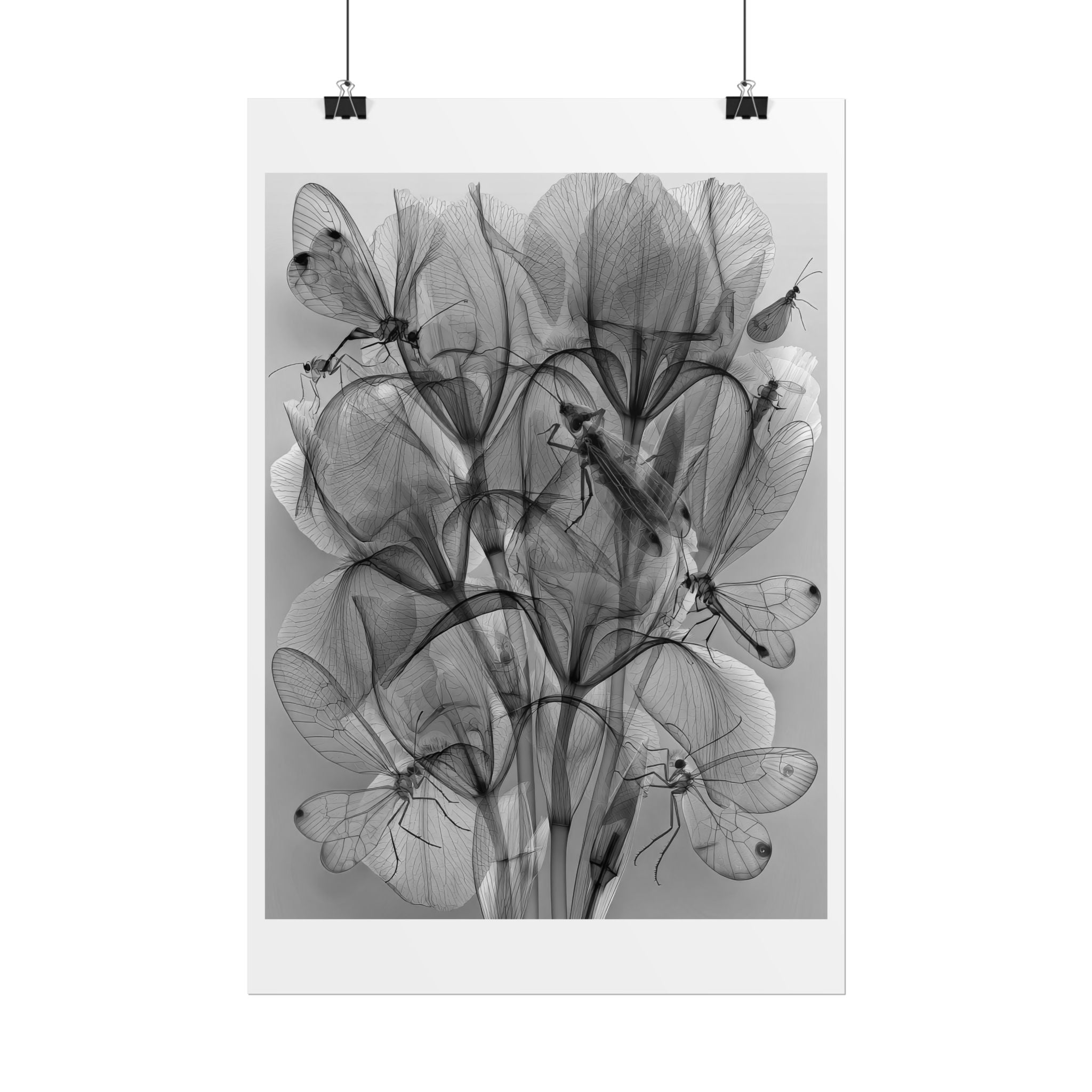 Botanical X-Ray Poster — Monochrome Floral Wall Art, Rolled Art Print