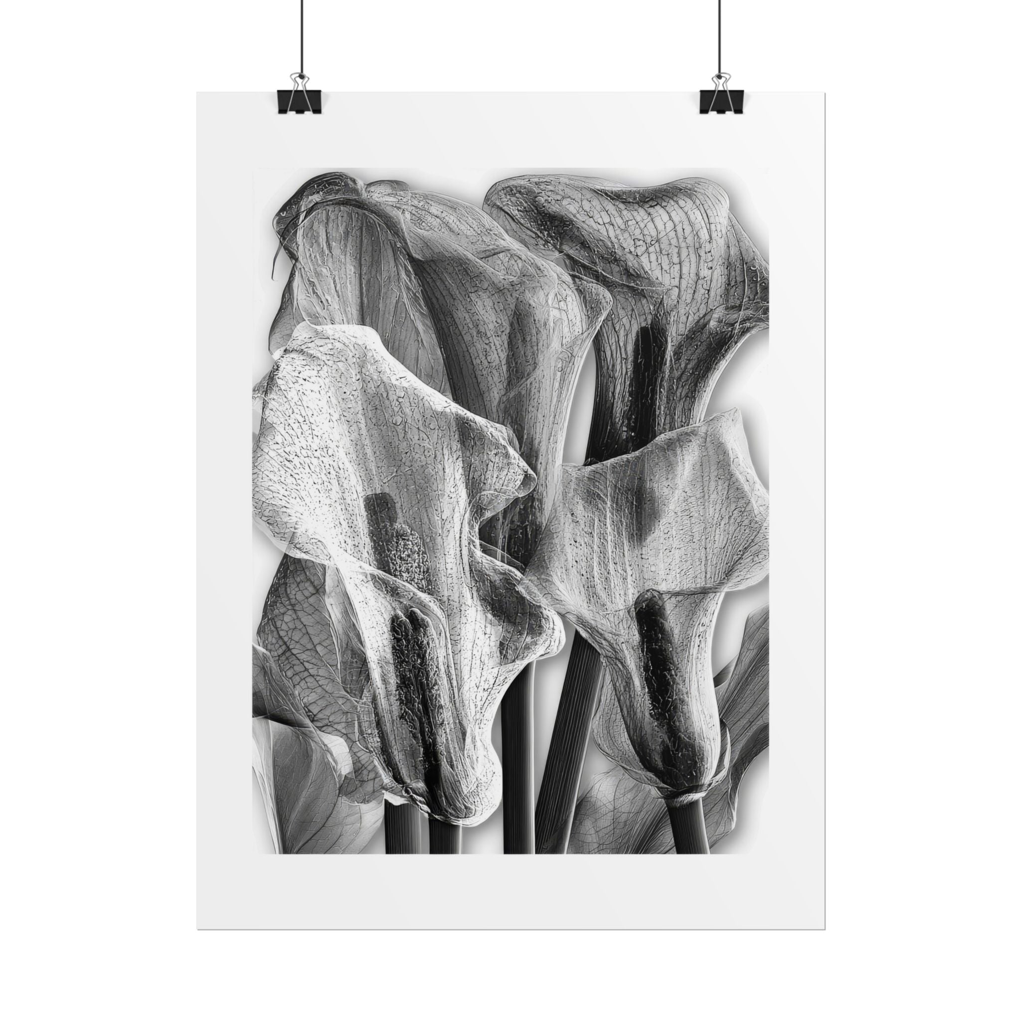 Black & White Calla Lily Poster — Minimal Floral Wall Art, Rolled Art Print for Living Room & Bedroom