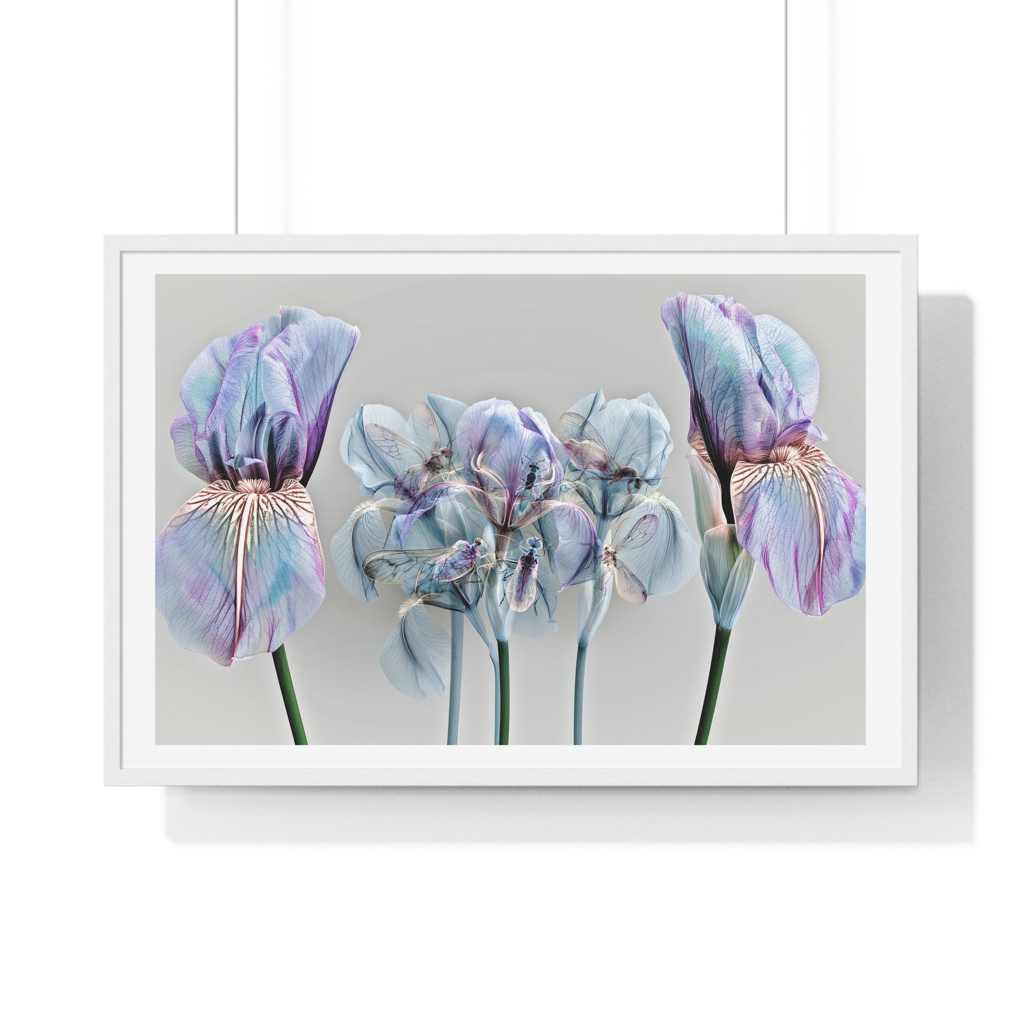 Iridescent Iris Floral Framed Poster — Horizontal Wall Art Print