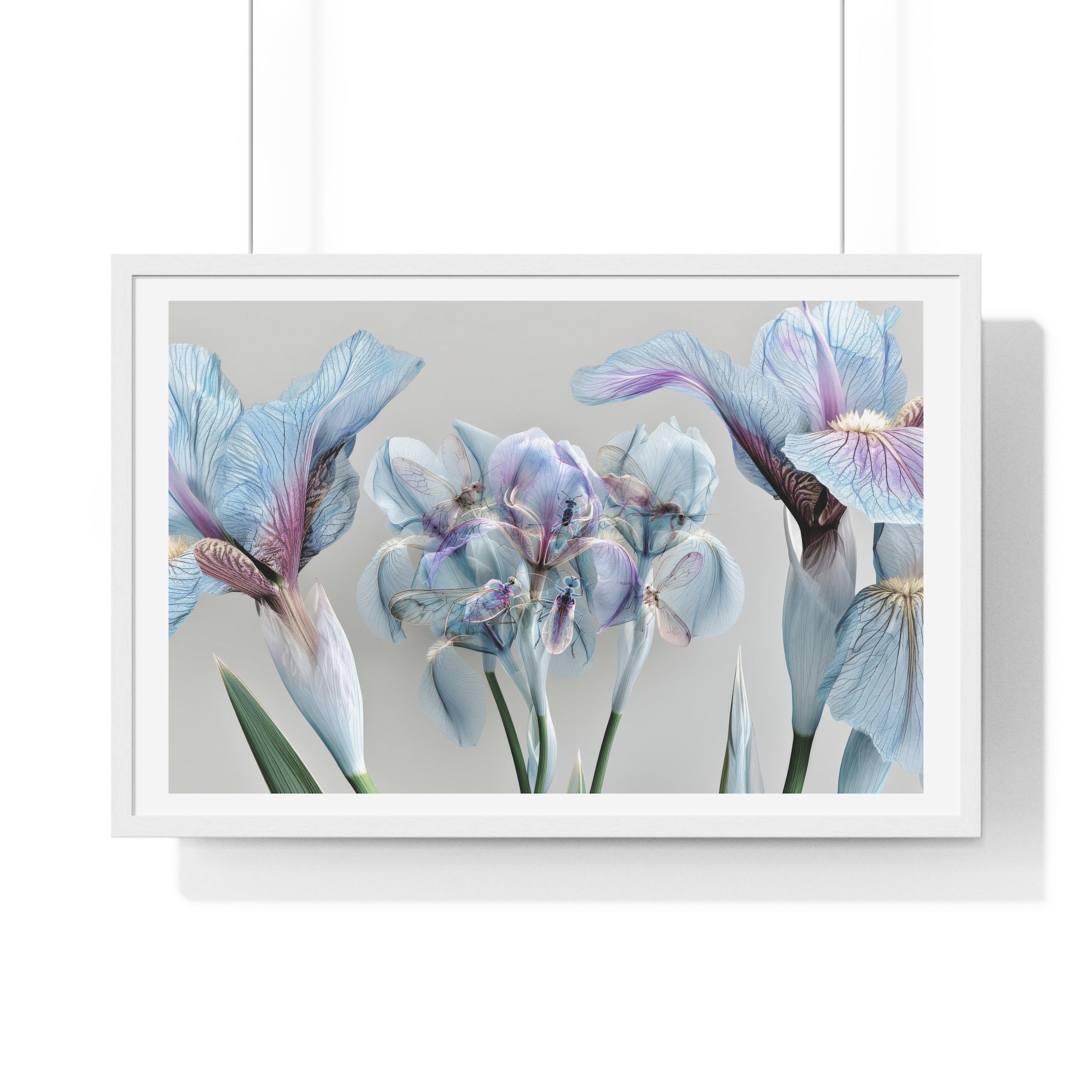 Botanical Iris Framed Poster — Soft Blue Floral Wall Art (Horizontal)