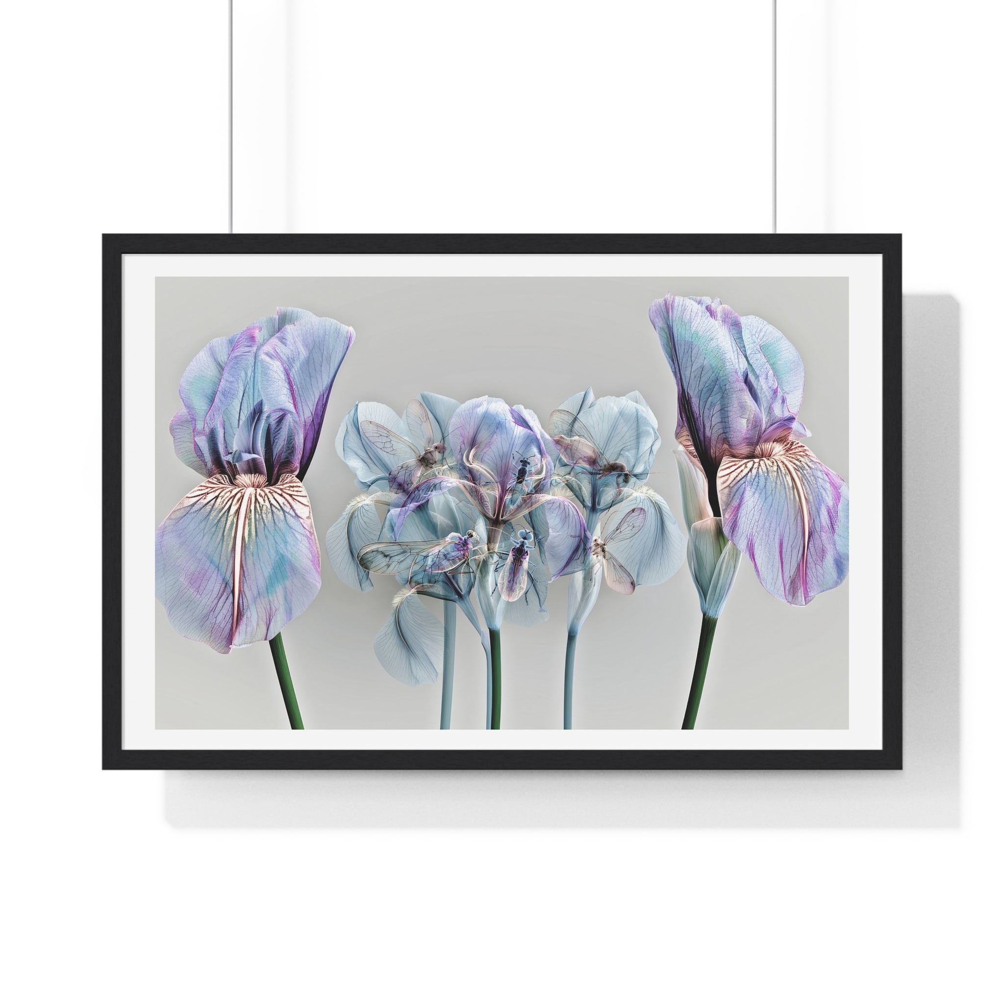 Iridescent Iris Floral Framed Poster — Horizontal Wall Art Print