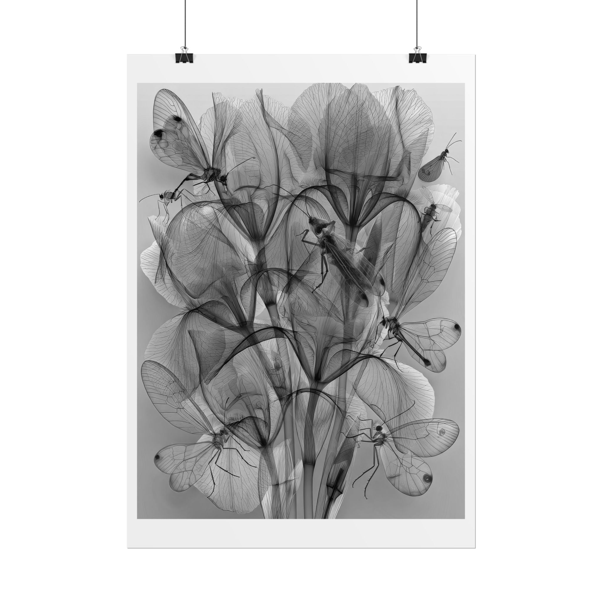 Botanical X-Ray Poster — Monochrome Floral Wall Art, Rolled Art Print