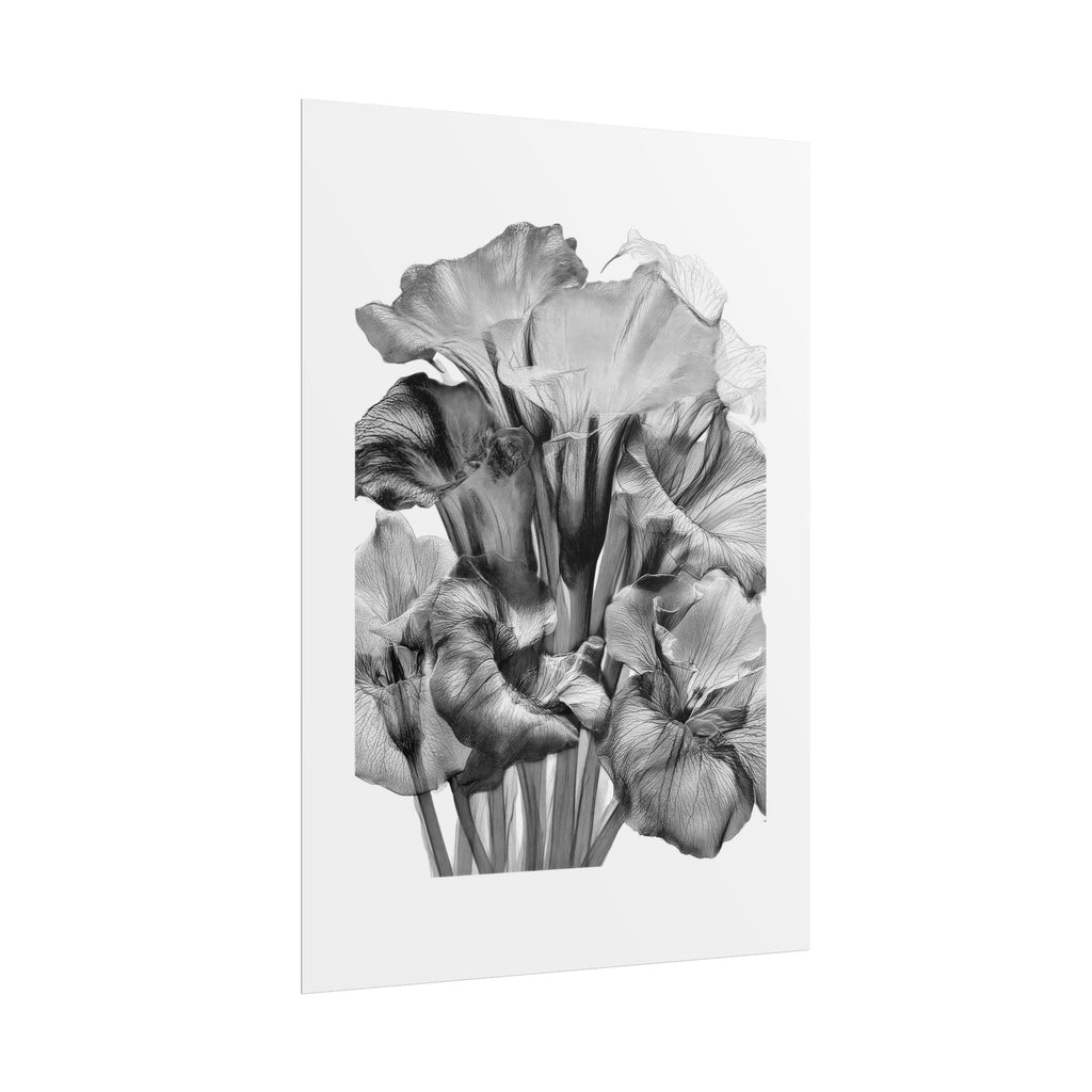 Black & White Iris Botanical Poster — Monochrome Floral Wall Art (Rolled Poster)