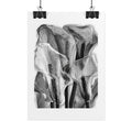 Black & White Calla Lily Poster — Minimal Floral Wall Art, Rolled Art Print for Living Room & Bedroom