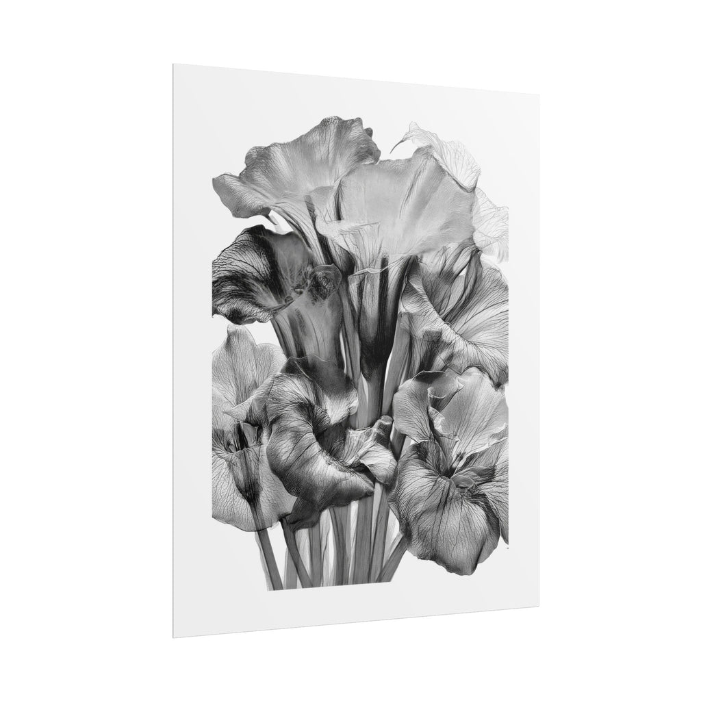 Black & White Iris Botanical Poster — Monochrome Floral Wall Art (Rolled Poster)