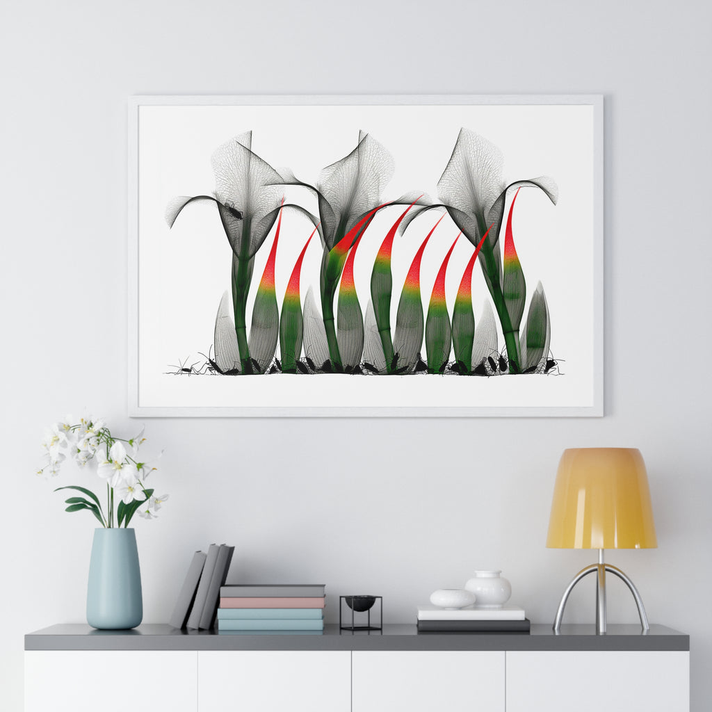 Framed Poster - Abstract Botanical Calla Lily Art with Red & Green Accents