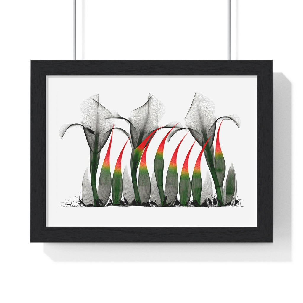 Framed Poster - Abstract Botanical Calla Lily Art with Red & Green Accents