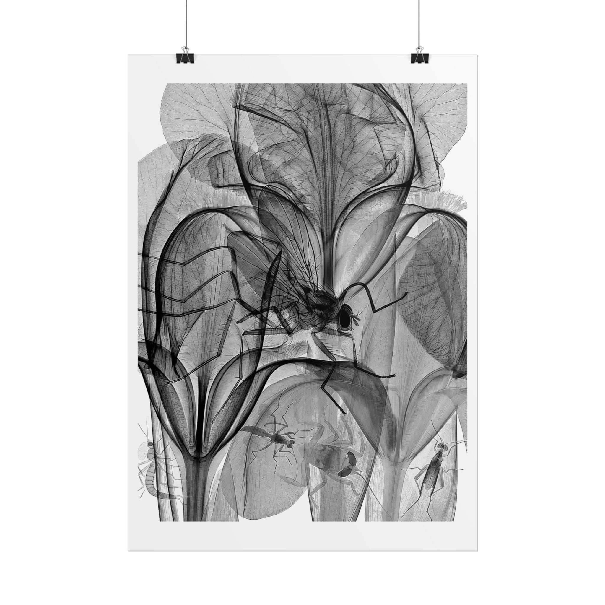 Botanical X-Ray Art Poster — Monochrome Floral Rolled Print