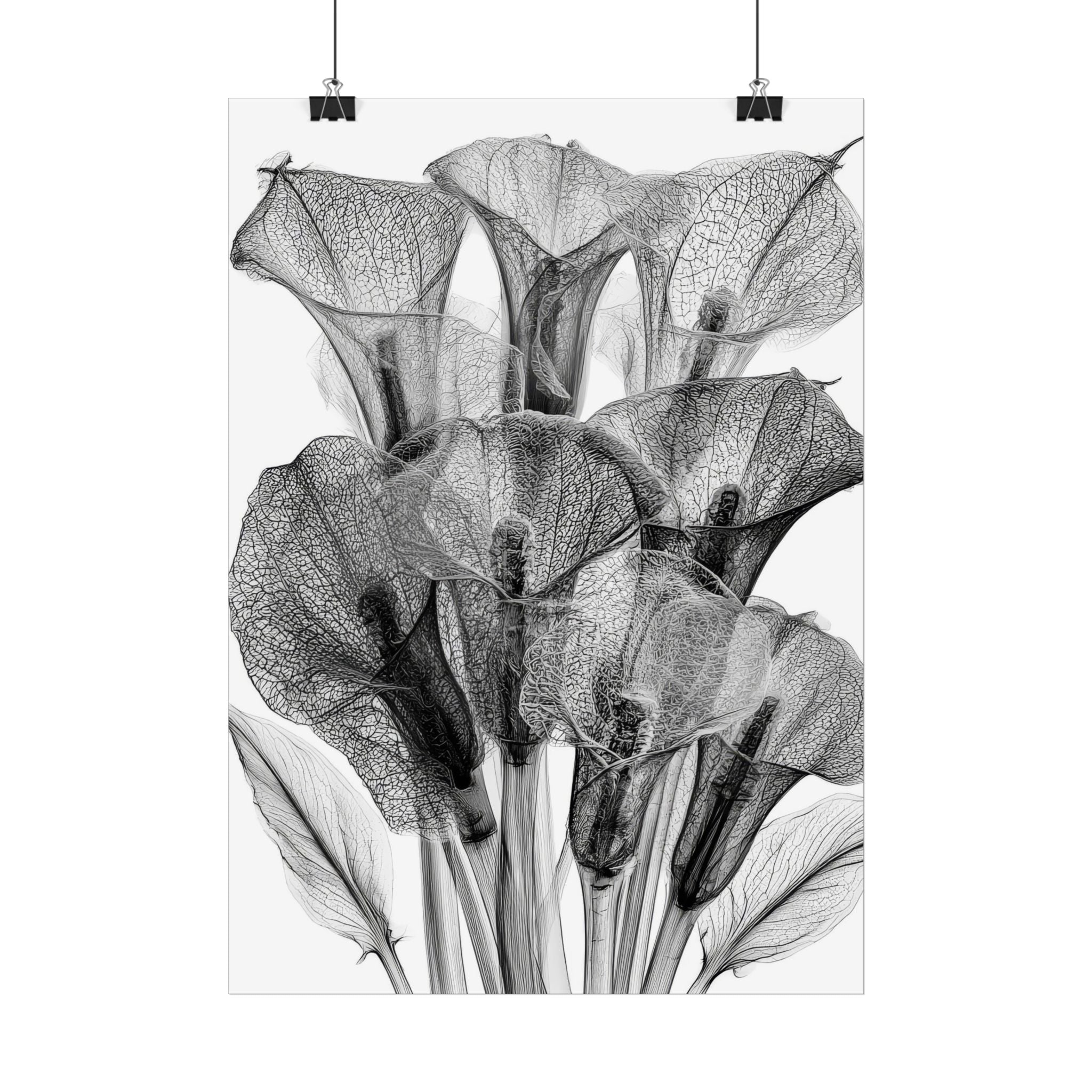 Calla Lily X-ray Poster — Minimalist Botanical Wall Art