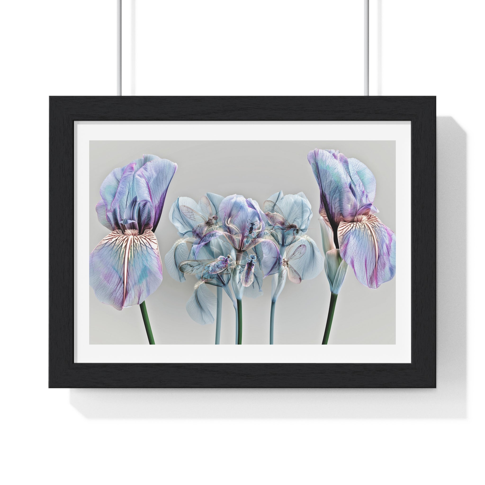 Iridescent Iris Floral Framed Poster — Horizontal Wall Art Print