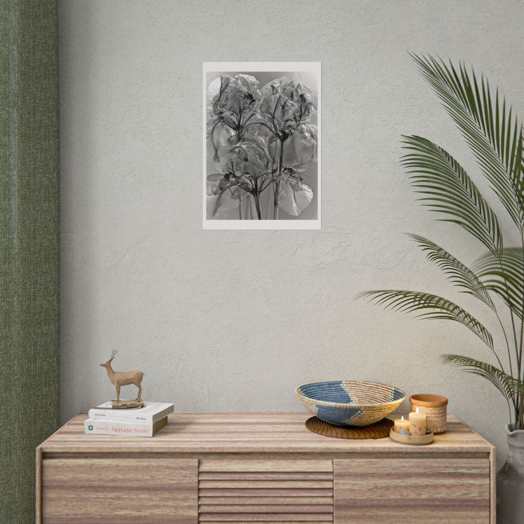 Rolled Poster — Monochrome X-Ray Floral Art Print