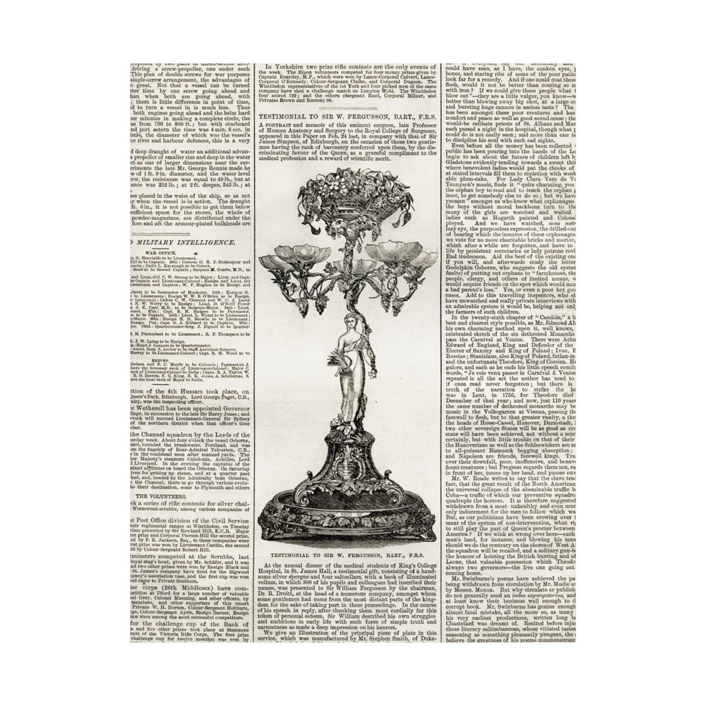 Vintage Botanical Dictionary Poster — Matte Vertical Wall Art