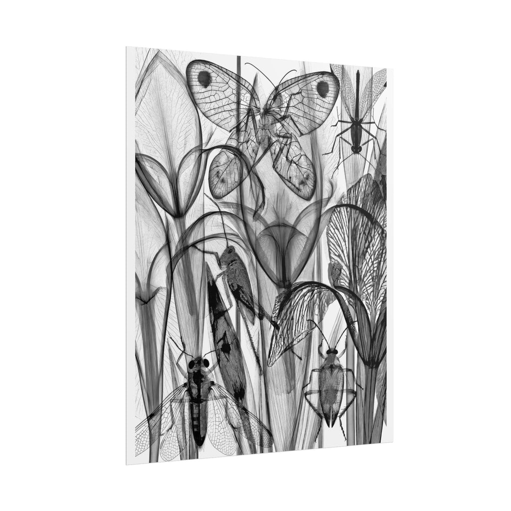 Monochrome Botanical Insects Rolled Poster — X-Ray Style Nature Art Print