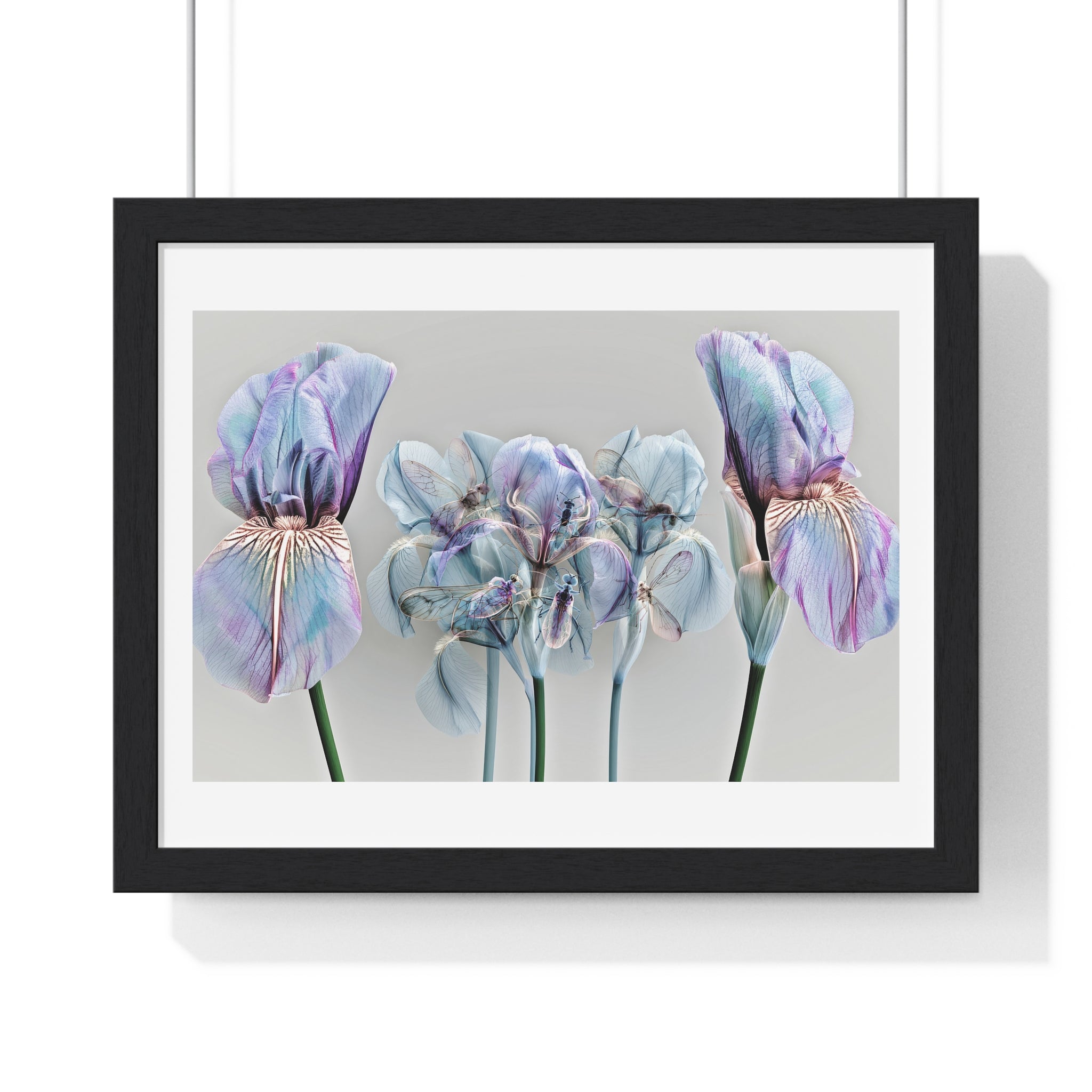 Iridescent Iris Floral Framed Poster — Horizontal Wall Art Print