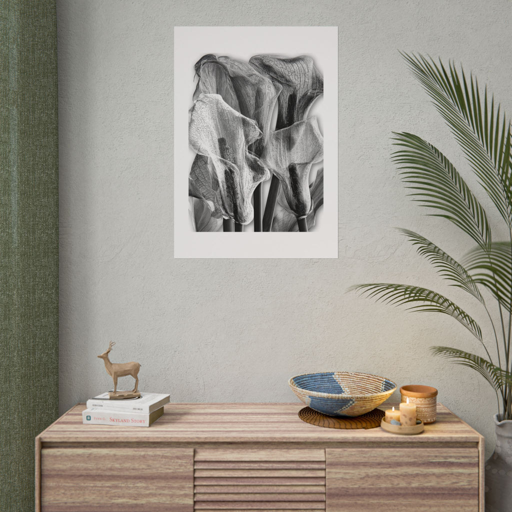 Black & White Calla Lily Poster — Minimal Floral Wall Art, Rolled Art Print for Living Room & Bedroom