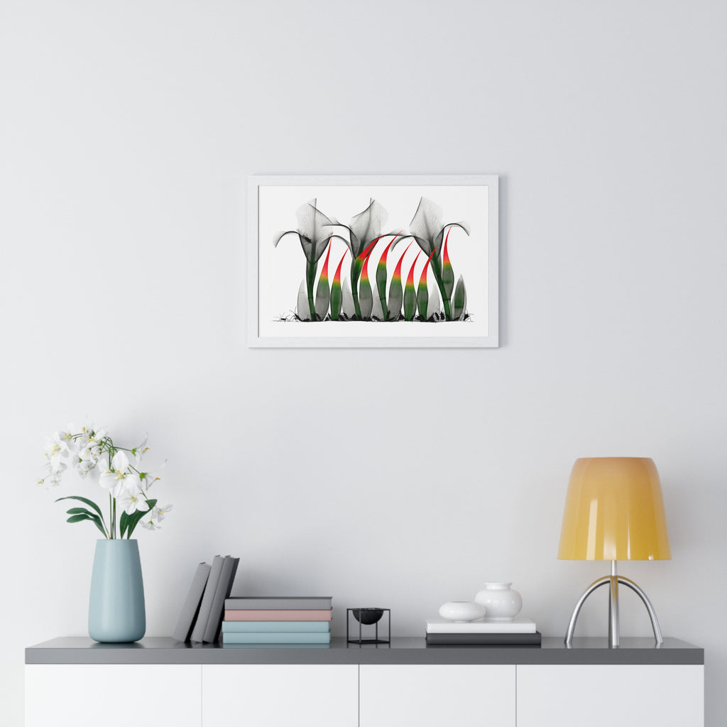 Framed Poster - Abstract Botanical Calla Lily Art with Red & Green Accents