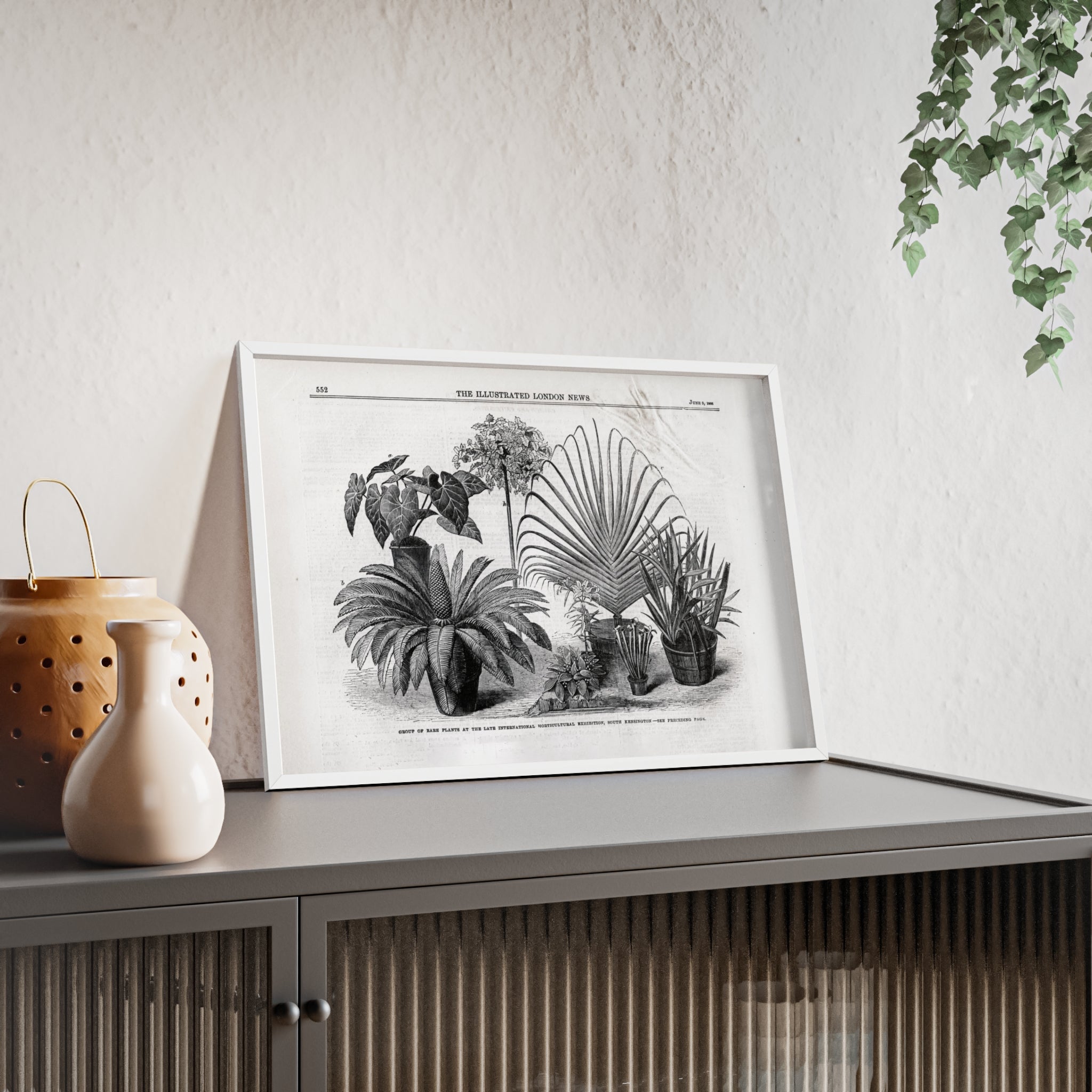 Group of Rare Plants at the International Horticultural Exhibition. Vintage Botanical Print Poster with Wooden Frame — Black & White Plant Illustration