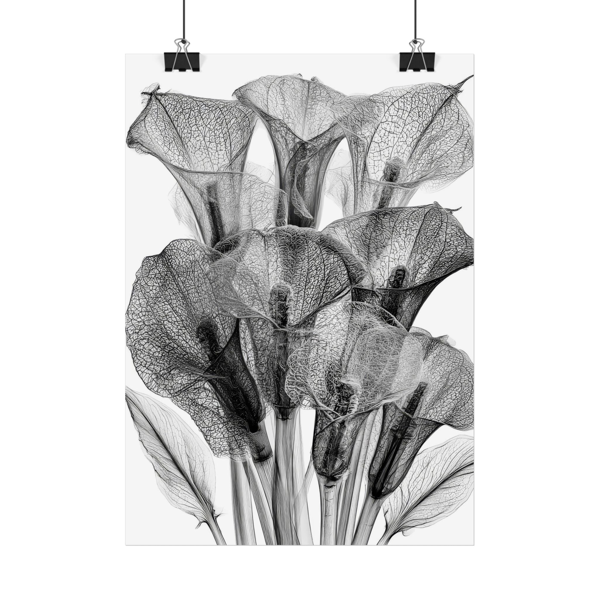 Calla Lily X-ray Poster — Minimalist Botanical Wall Art