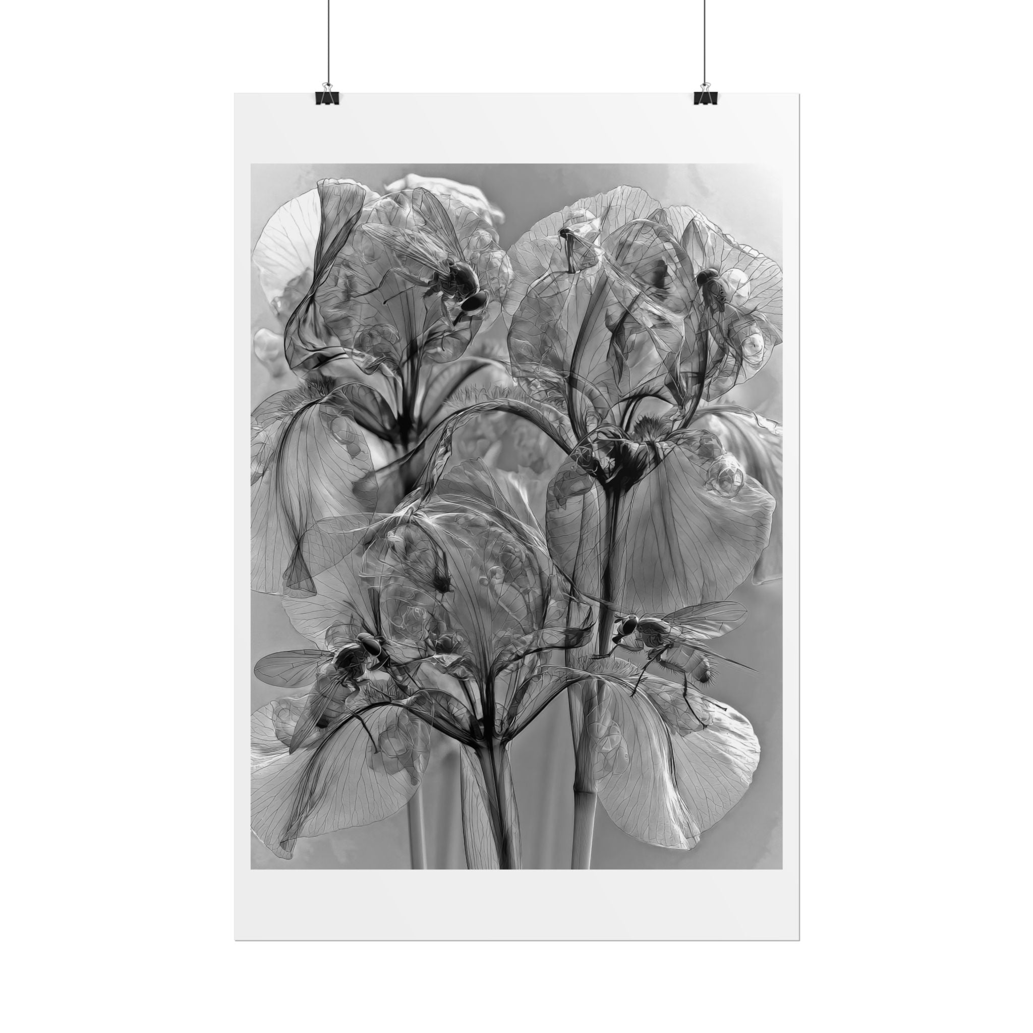 Rolled Poster — Monochrome X-Ray Floral Art Print