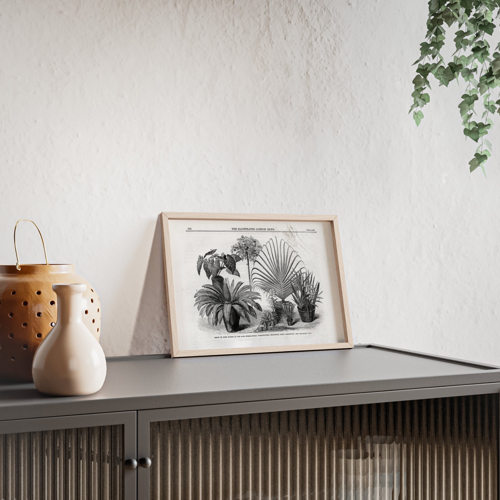 Group of Rare Plants at the International Horticultural Exhibition. Vintage Botanical Print Poster with Wooden Frame — Black & White Plant Illustration
