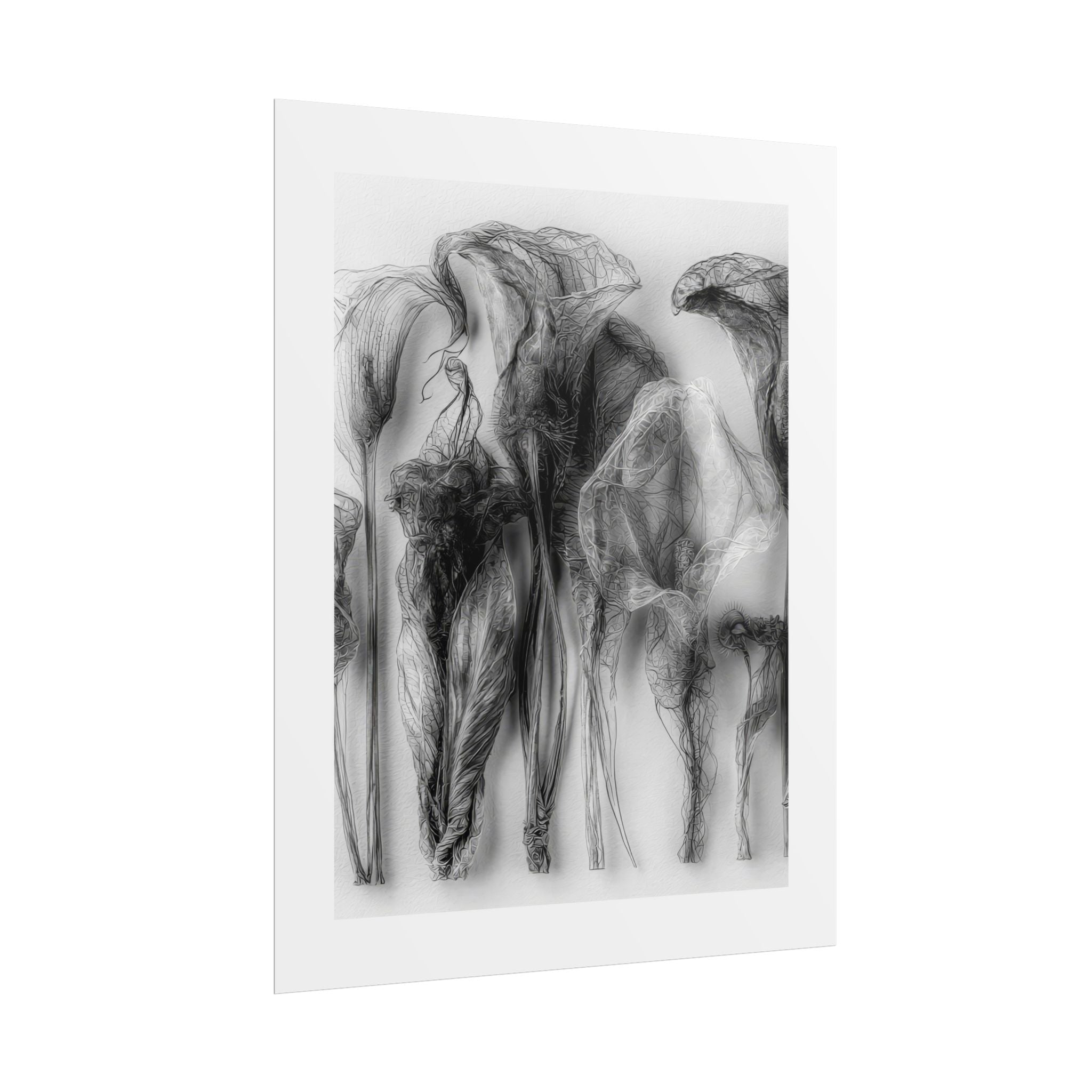 Abstract Smoke Floral Poster — Black & White Botanical Wall Art (Rolled Poster)