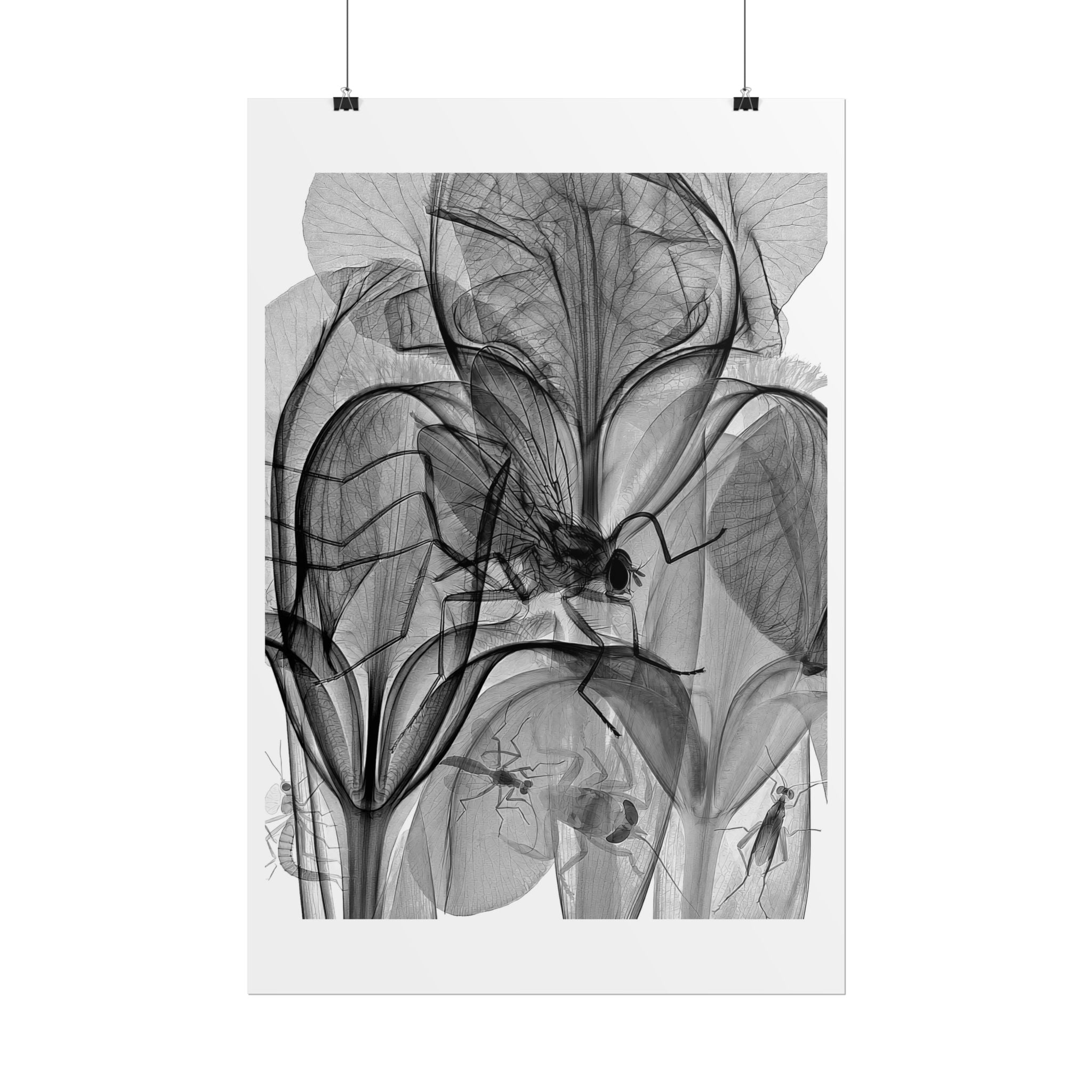 Botanical X-Ray Art Poster — Monochrome Floral Rolled Print