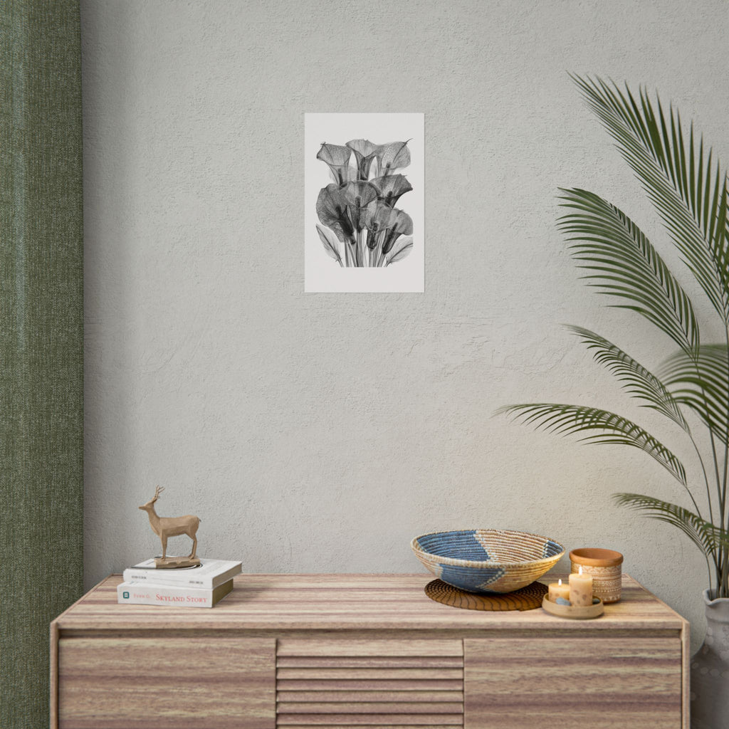 Rolled Poster - Black & White X-Ray Calla Lily Botanical Print