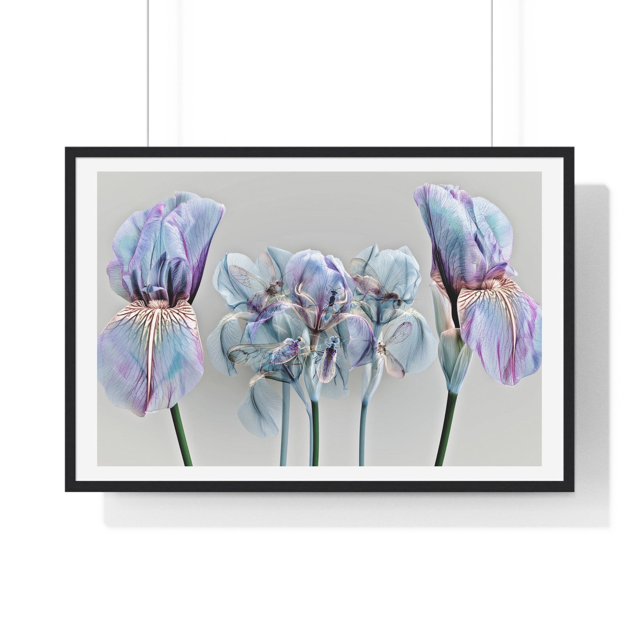 Iridescent Iris Floral Framed Poster — Horizontal Wall Art Print