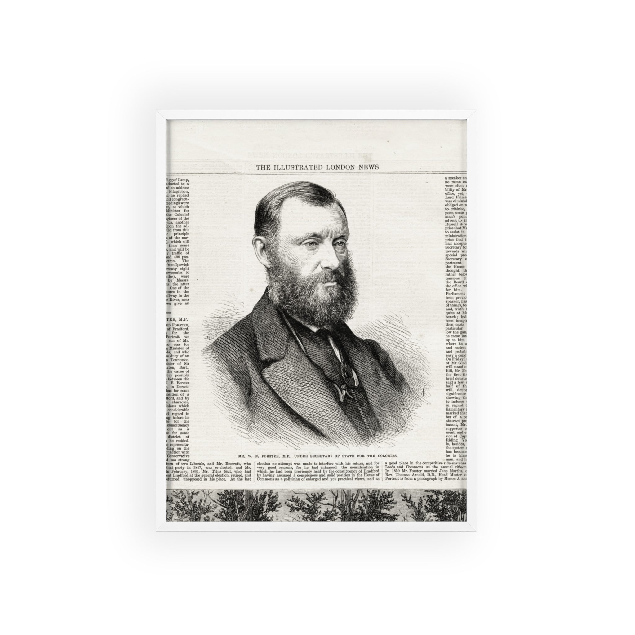 W. E. Forster, MP.  Under Secreatry of State for the Colonies.  Framed Vintage Portrait Poster — Antique Illustrated London News Print