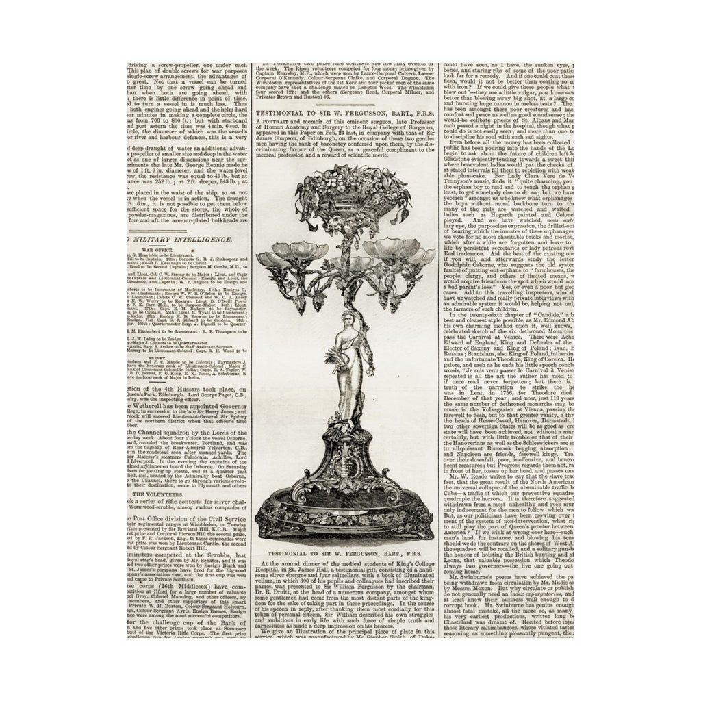 Vintage Botanical Dictionary Poster — Matte Vertical Wall Art