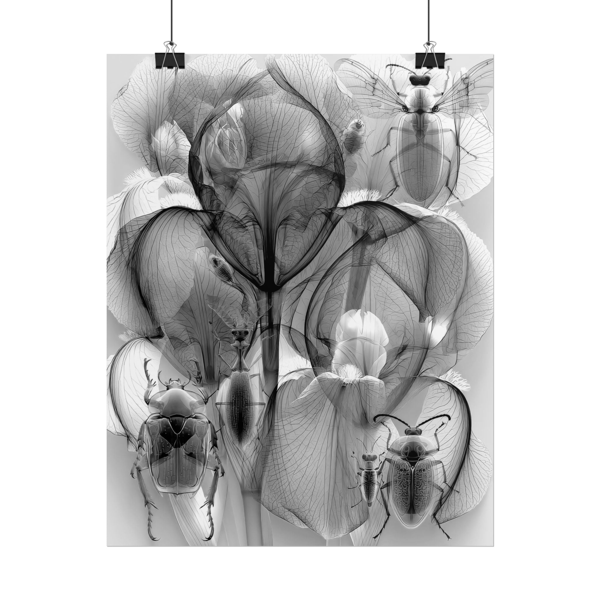 Orchid X-Ray Art Poster — Monochrome Floral Insect Wall Print