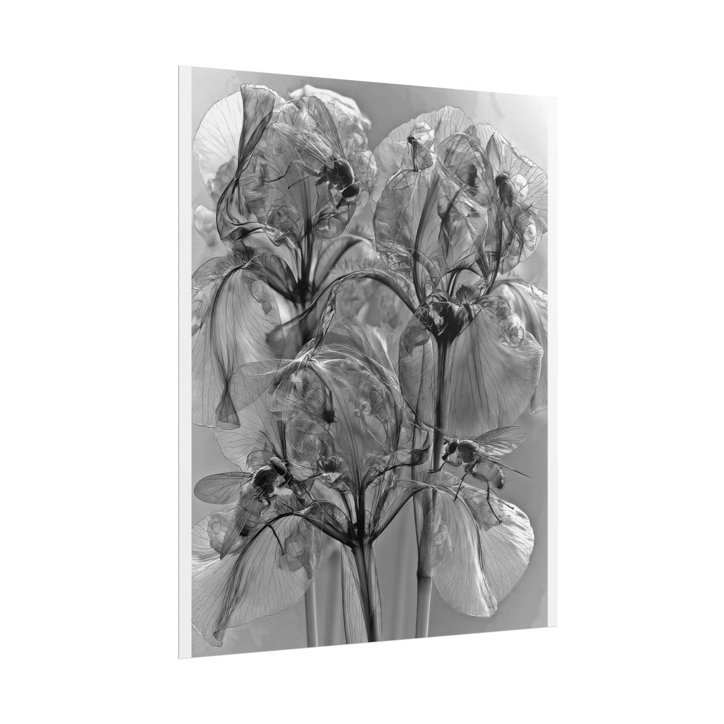 Rolled Poster — Monochrome X-Ray Floral Art Print