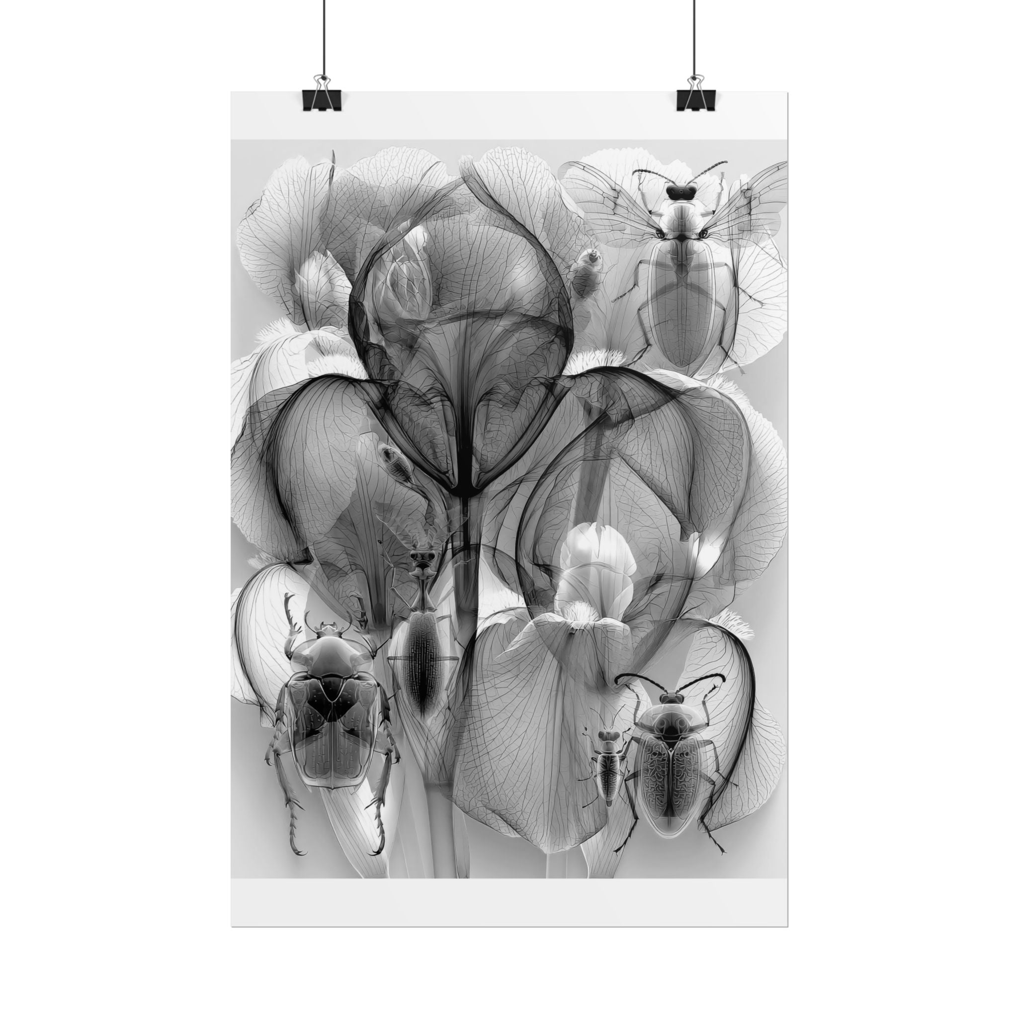 Orchid X-Ray Art Poster — Monochrome Floral Insect Wall Print