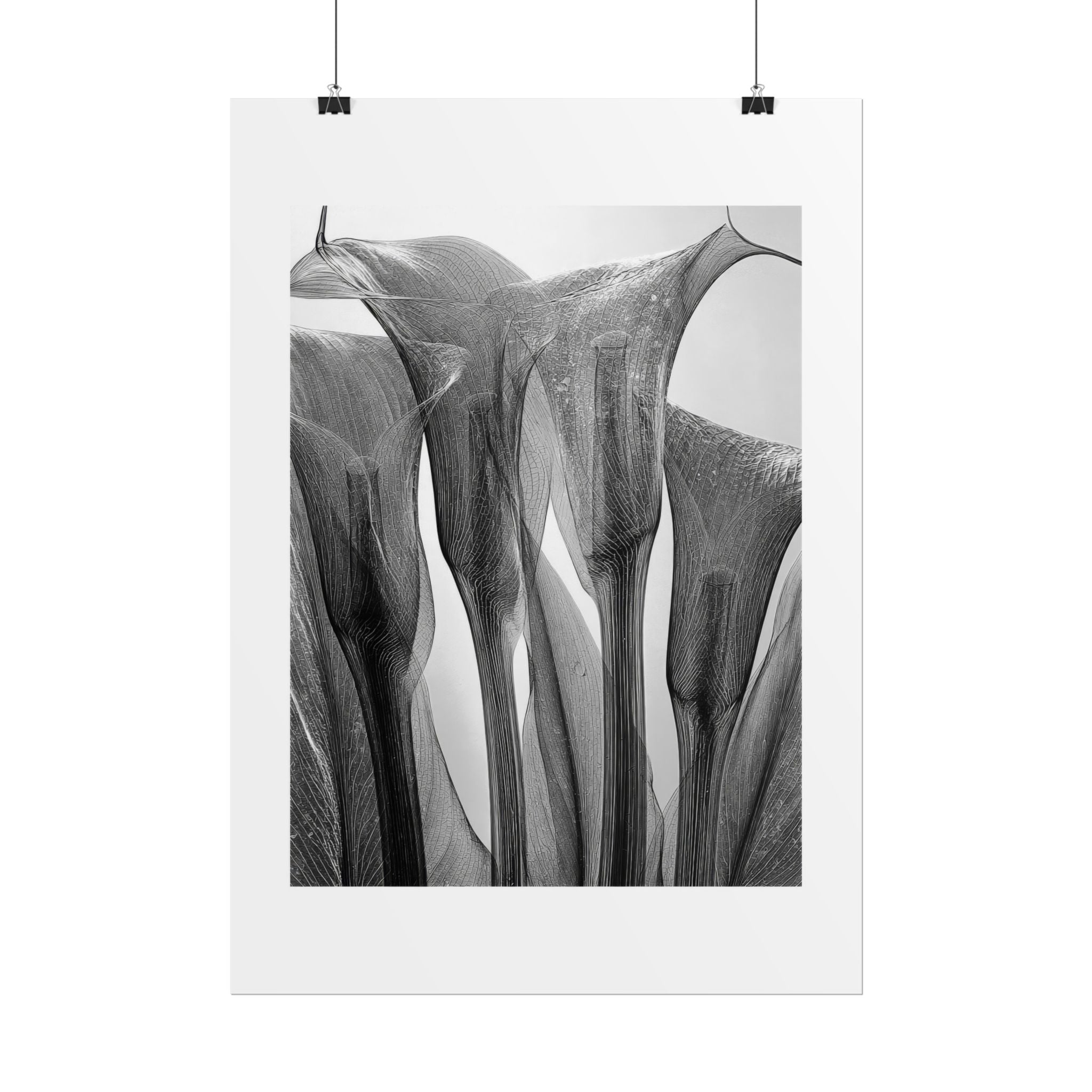 Abstract Botanical Poster — Black & White Calla Lily Photography (Rolled Poster)