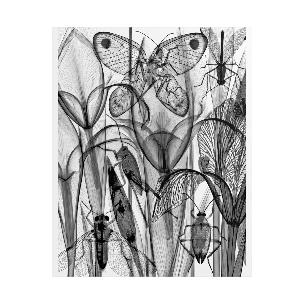 Botanical Insect X‑Ray Rolled Poster — Monochrome Moths & Beetles Art Print