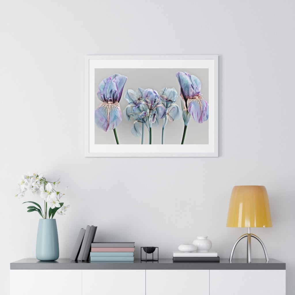 Iridescent Iris Floral Framed Poster — Horizontal Wall Art Print