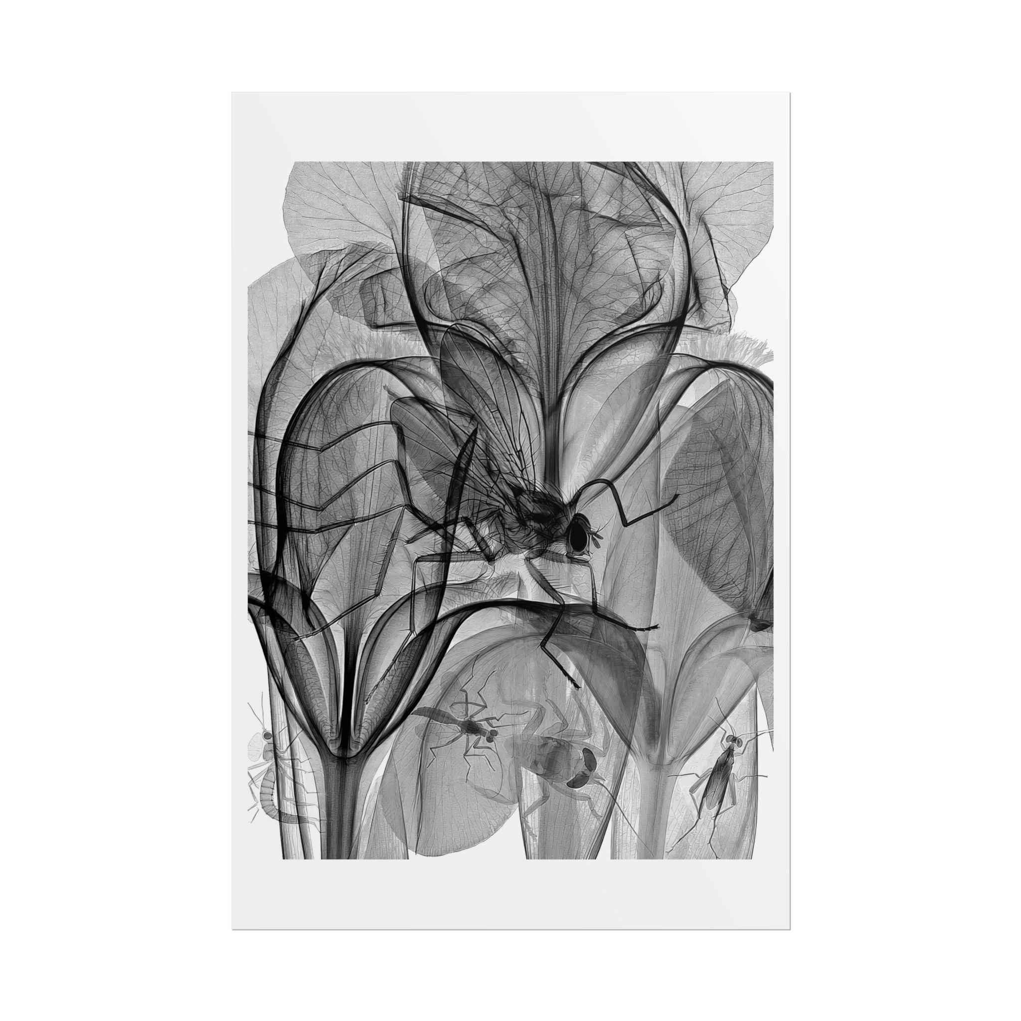 Botanical X-Ray Art Poster — Monochrome Floral Rolled Print