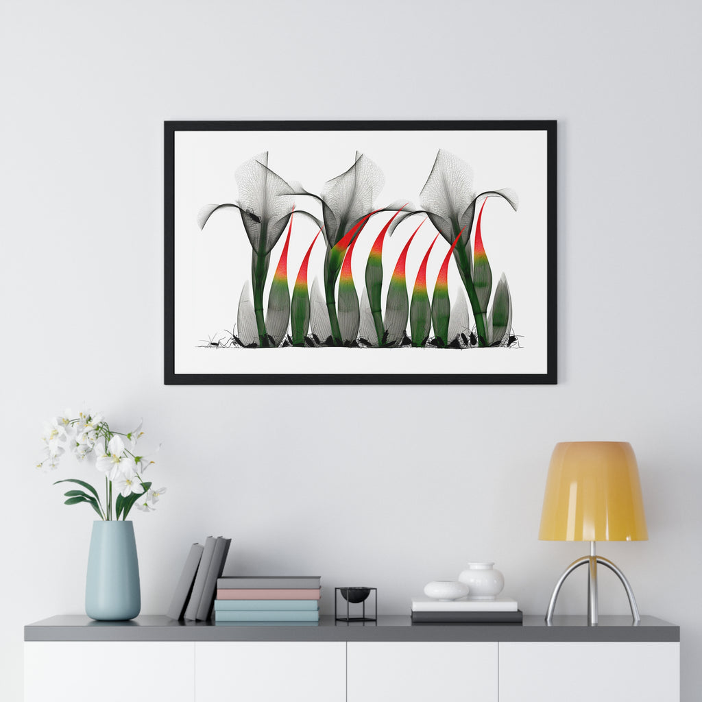 Framed Poster - Abstract Botanical Calla Lily Art with Red & Green Accents