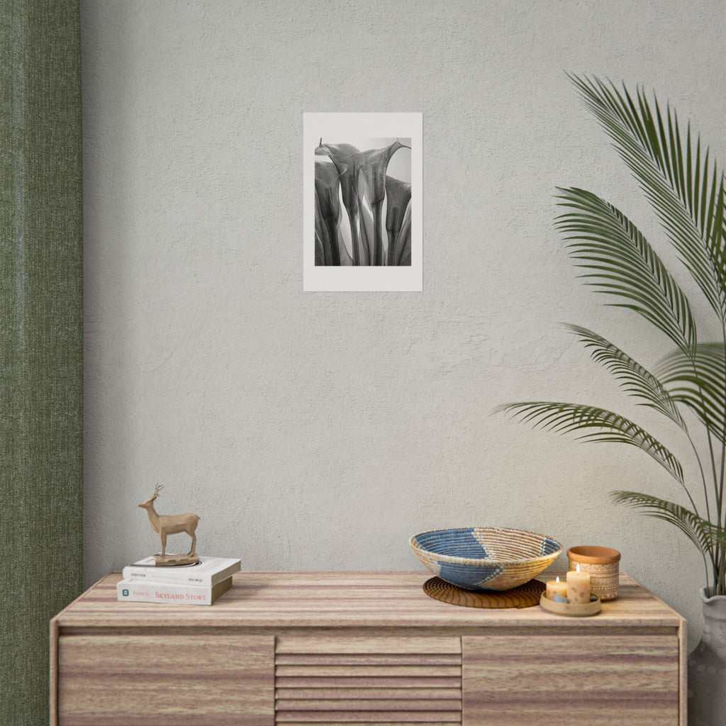 Abstract Botanical Poster — Black & White Calla Lily Photography (Rolled Poster)