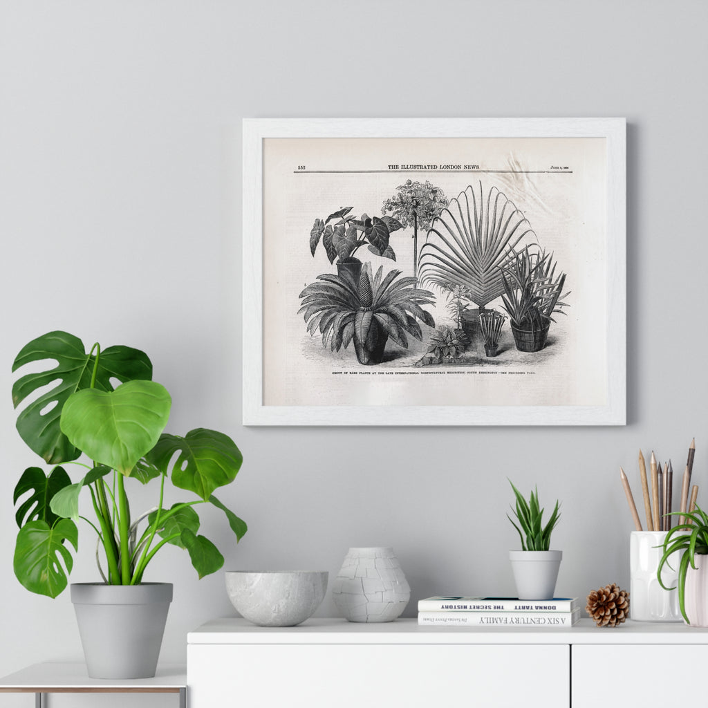 Vintage Botanical Print Framed Poster — Antique Plant Illustration