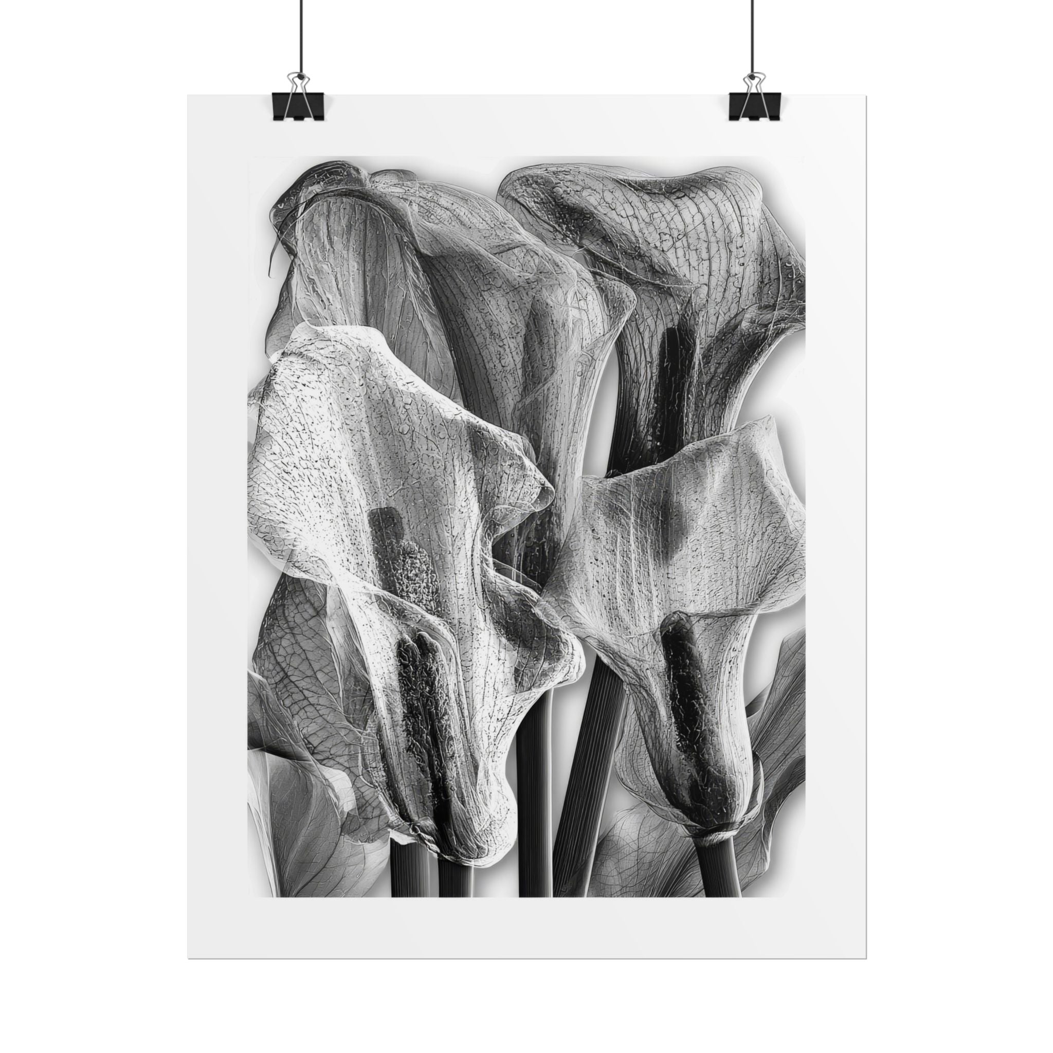 Black & White Calla Lily Poster — Minimal Floral Wall Art, Rolled Art Print for Living Room & Bedroom