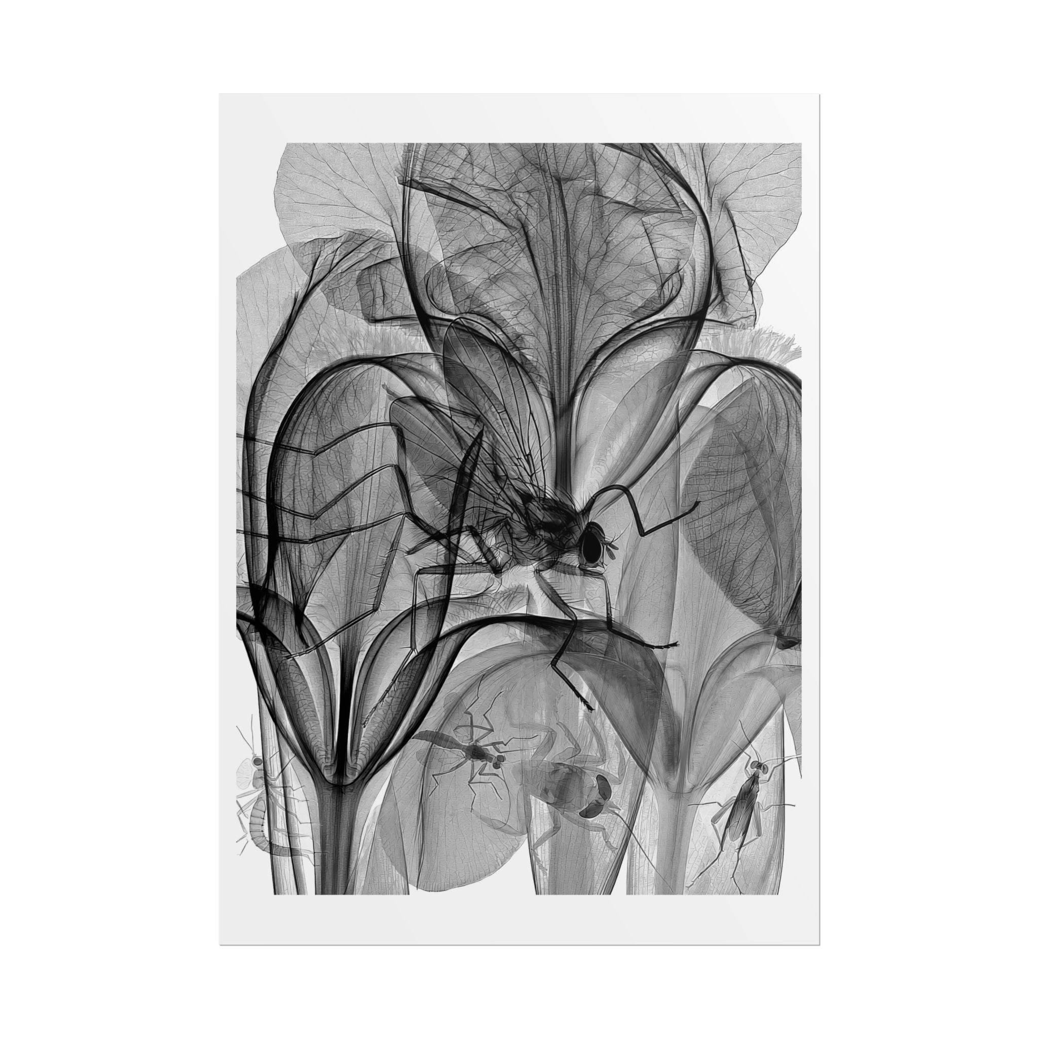 Botanical X-Ray Art Poster — Monochrome Floral Rolled Print