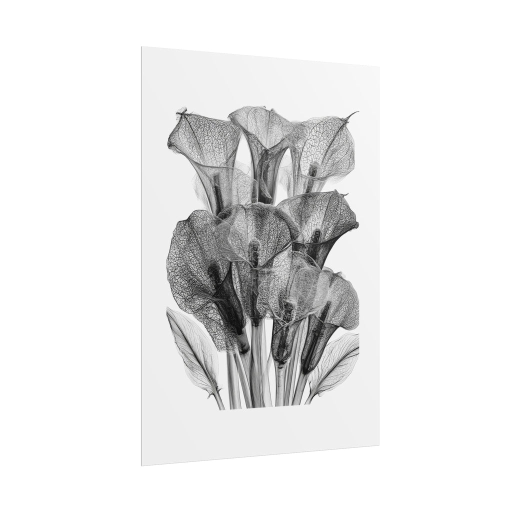 Rolled Poster - Black & White X-Ray Calla Lily Botanical Print