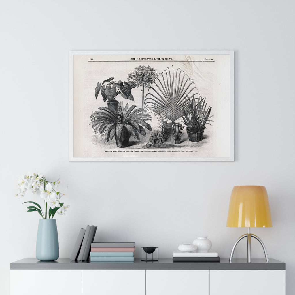 Vintage Botanical Print Framed Poster — Antique Plant Illustration
