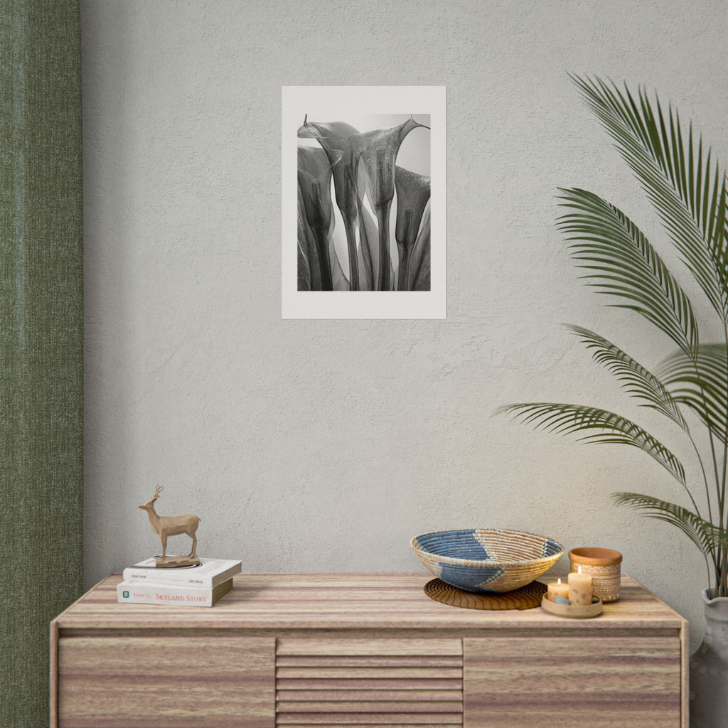 Abstract Botanical Poster — Black & White Calla Lily Photography (Rolled Poster)