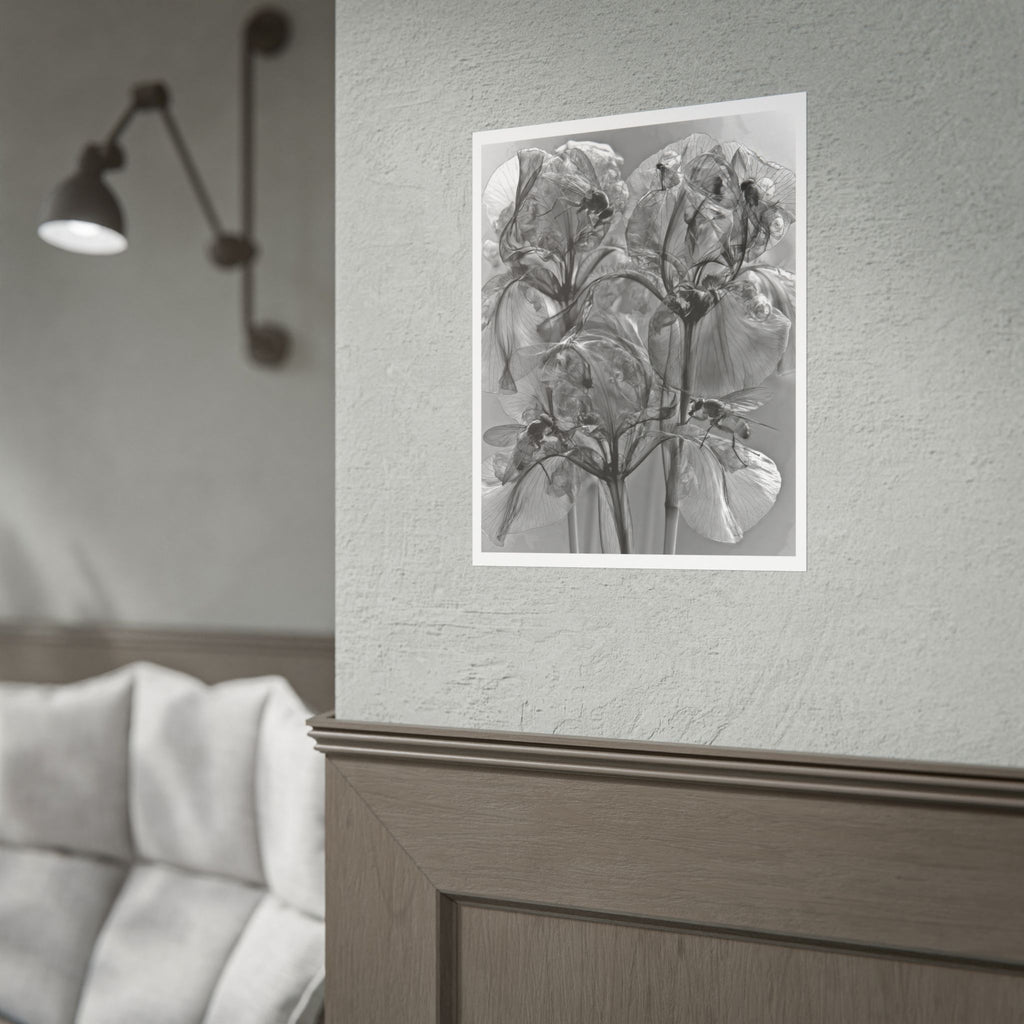 Rolled Poster — Monochrome X-Ray Floral Art Print