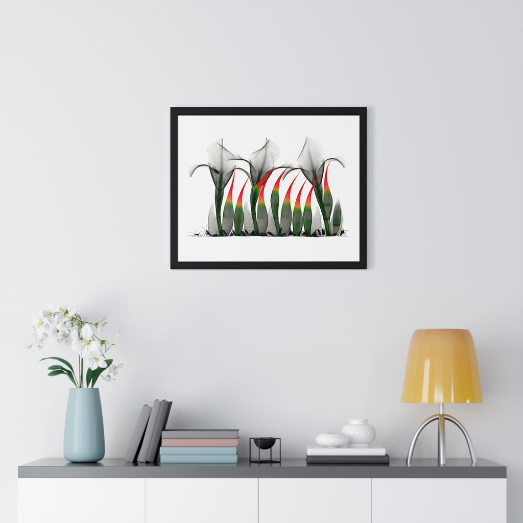 Framed Poster - Abstract Botanical Calla Lily Art with Red & Green Accents