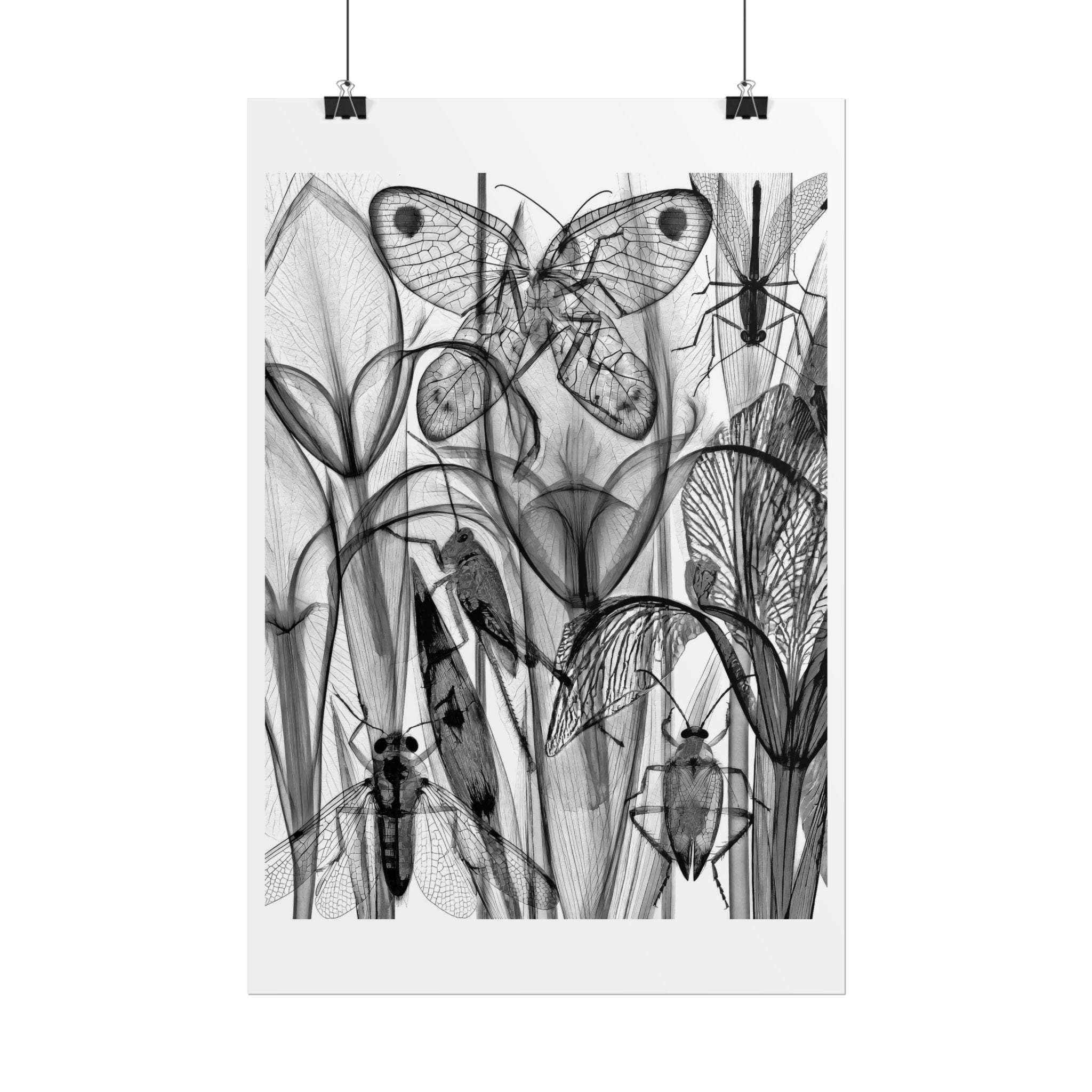 Botanical Insect X‑Ray Rolled Poster — Monochrome Moths & Beetles Art Print