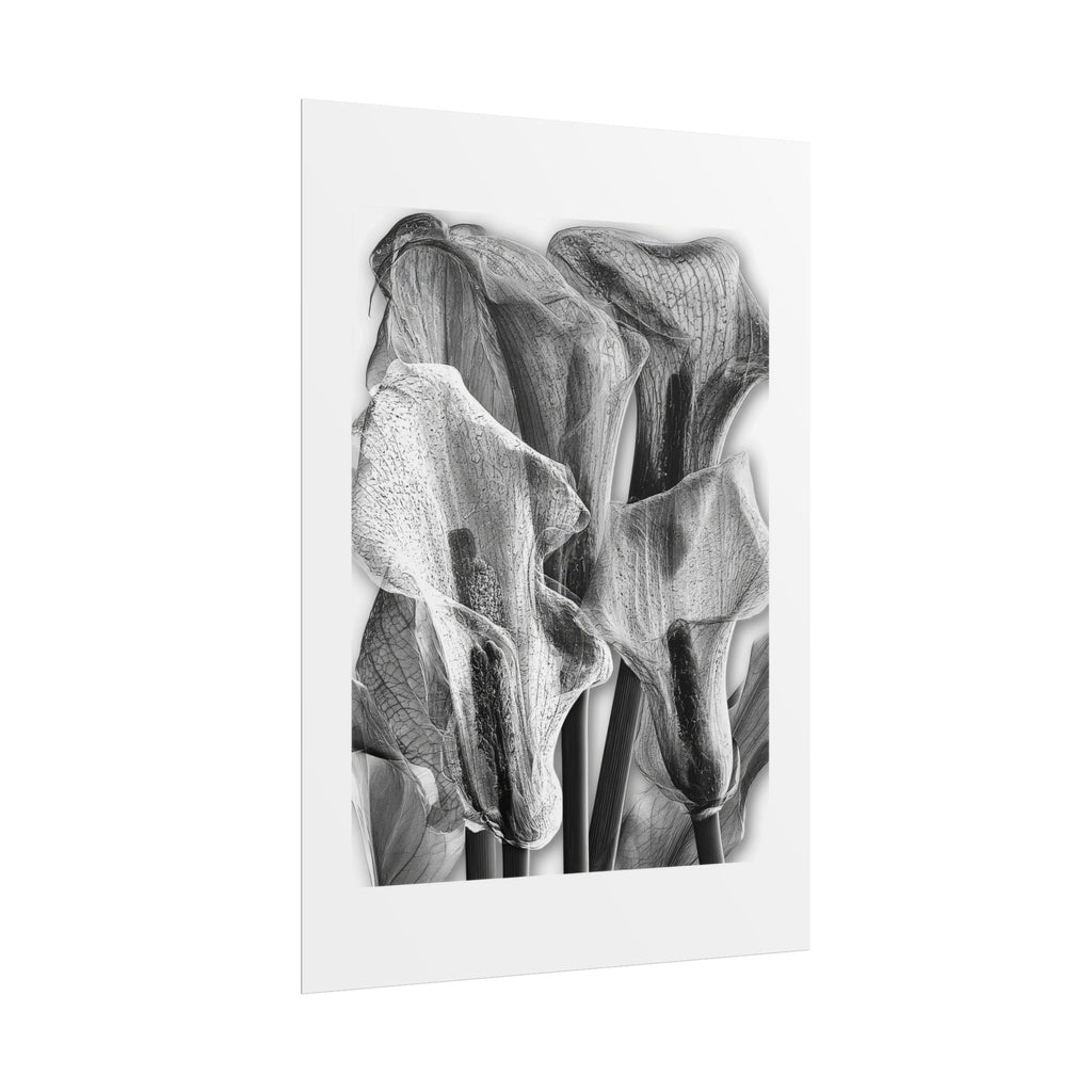 Black & White Calla Lily Poster — Minimal Floral Wall Art, Rolled Art Print for Living Room & Bedroom